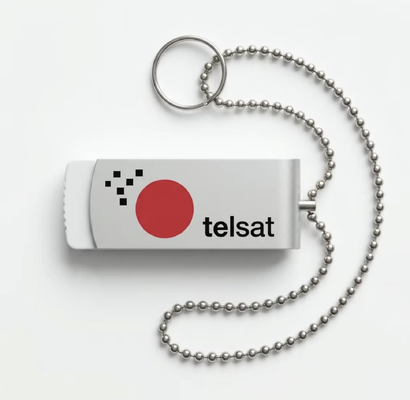 Memoria USB de plástico que proporciona 10 años de retención de datos, perfecta para transferencia de datos y profesionales, USB de plástico con llavero